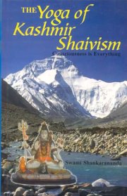 The yoga of kashmir shaivism10884 medium.jpg