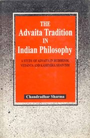 The advaita tradition in indian philosophy268 medium.jpg