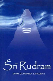 Sri rudram swamidayanandasaraswati medium.jpg