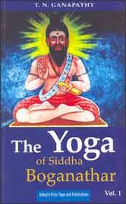 The yoga of siddha boganathar 1 large.jpg