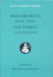 Mahabharata book 3 the forest vol 410657 medium.jpg