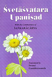 Shvetashvatara upanishad medium.jpg