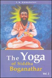 The yoga of siddha boganathar large.jpg