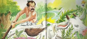 Brahmana sees a cow eating in his field.jpg