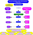 Thumbnail for version as of 08:31, 11 July 2025